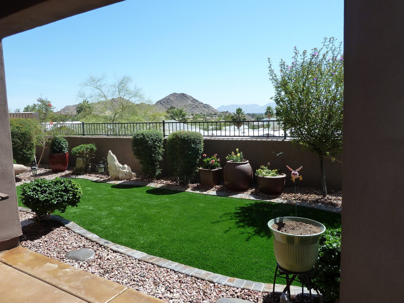 Turf lawn with a mountain view, installed by Arizona Turf Masters