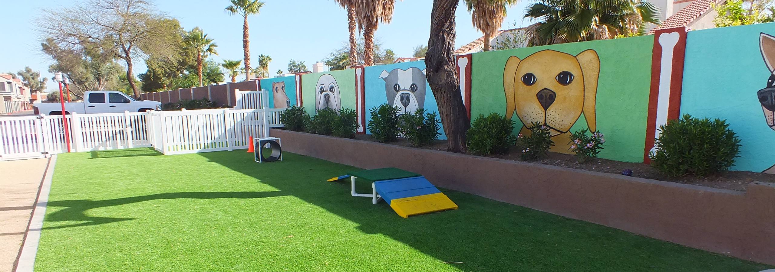 dog-park-banner-tempe-v2-w2560.jpg