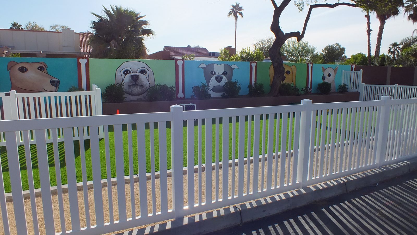 Fenced community dog park with artificial turf at an Arizona property