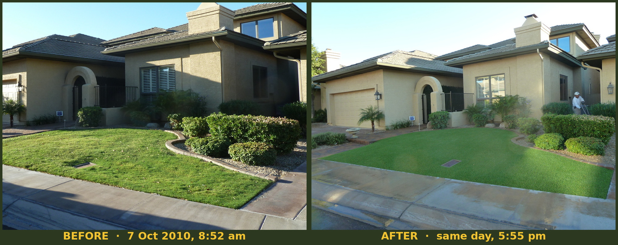 Before and after of a Biltmore area HOA front yard, natural grass in the morning and synthetic turf installed by Arizona Turf Masters the same afternoon