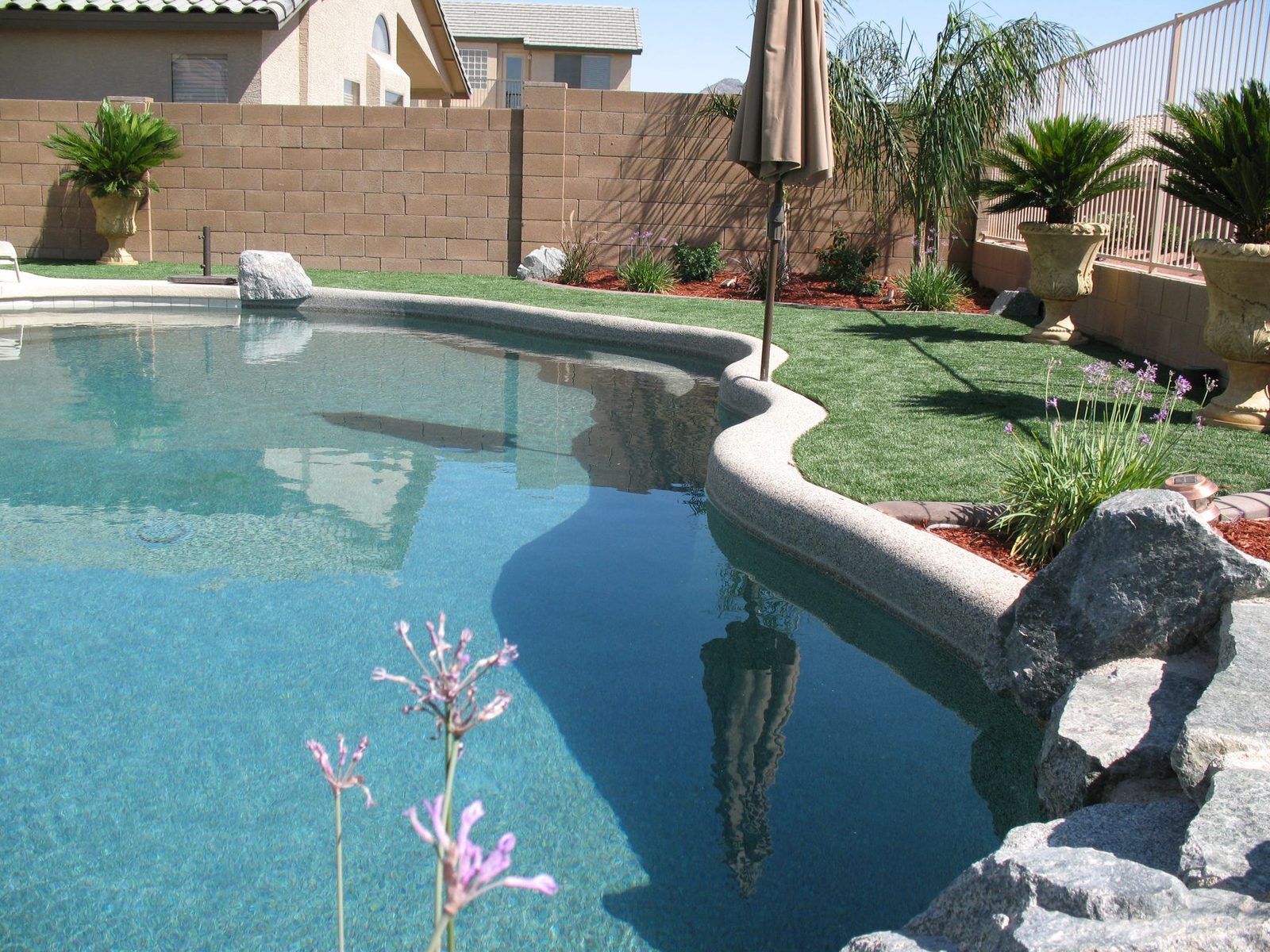 Artificial turf along a pool deck, installed by Arizona Turf Masters