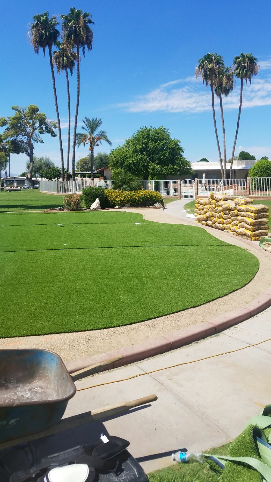 Long artificial turf lawn lined with palms, installed by Arizona Turf Masters