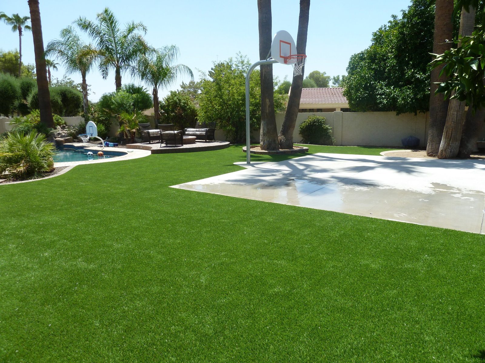 Backyard turf lawn beside a pool and basketball hoop, installed by Arizona Turf Masters